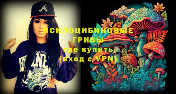 твердый Аркадак