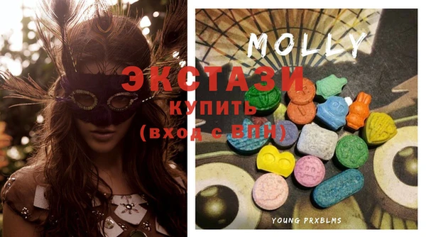 твердый Аркадак