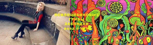 2c-b Арсеньев