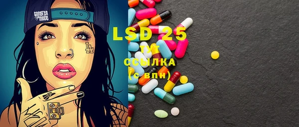 PSILOCYBIN Козельск