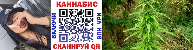 купить наркотики сайты  Бологое  ссылка на мегу рабочий сайт  Бошки марихуана VHQ 